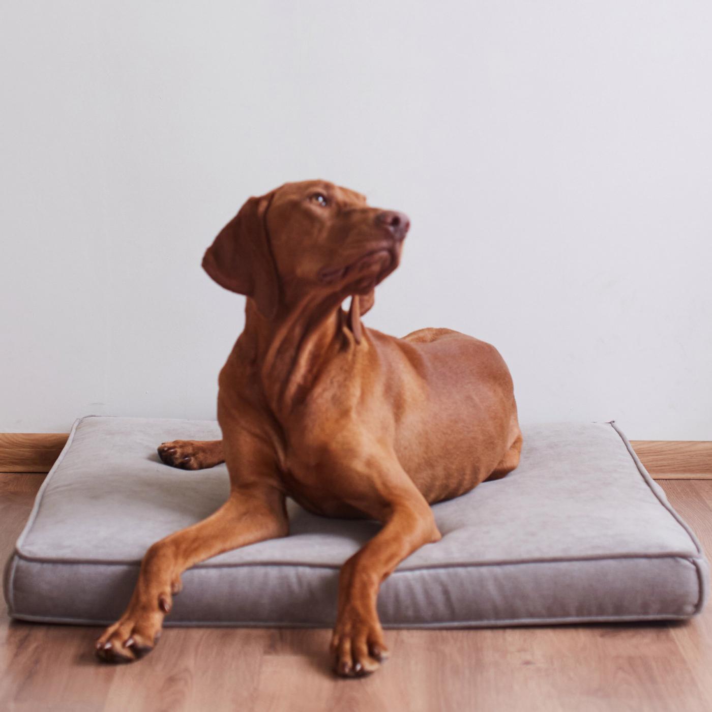 Лежанка для собак квадратная | Мастерская бескаркасной мебели KRESLO