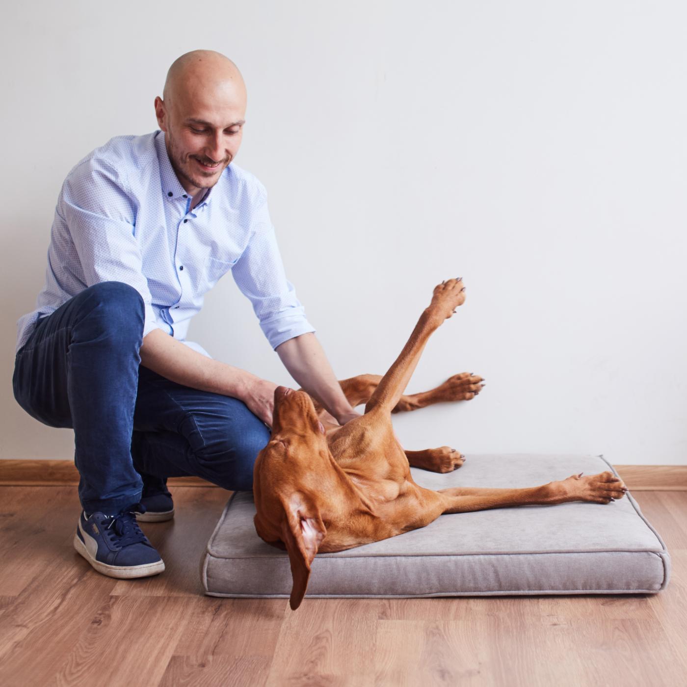 Лежанка для собак квадратная | Мастерская бескаркасной мебели KRESLO